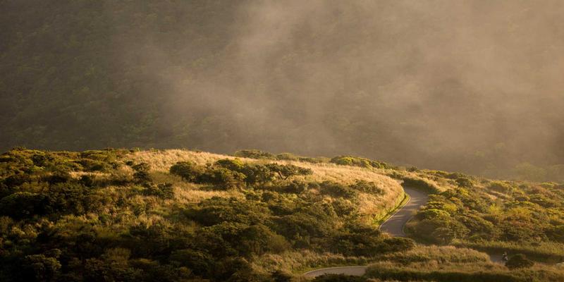 人工智能模型安全防护：对抗样本攻击与训练数据投毒的防御策略