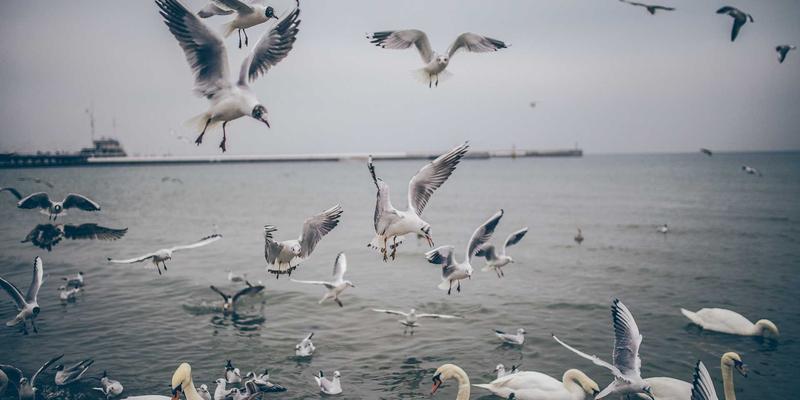 从物理到数字：以工业安全鞋理念构建企业零信任内网防护体系