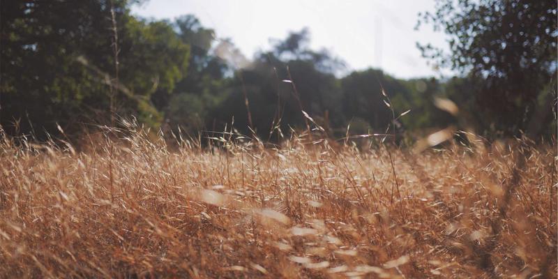 安全防护24小时守护：从足下到呼吸的全面防护指南