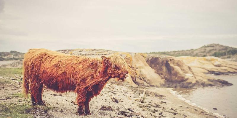 安全防护60：从防护装备到安全鞋，阿尔斯盾如何守护工业安全防线