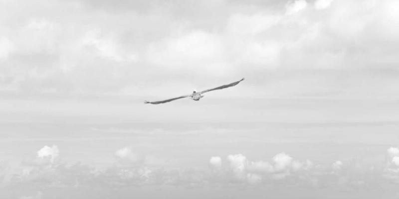 安全防护71：劳保用品与防护装备如何筑牢工业安全生命线