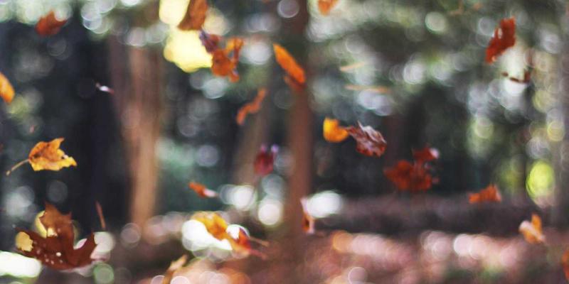 安全防护81：从呼吸器到全面防护装备的劳保用品科学配置指南