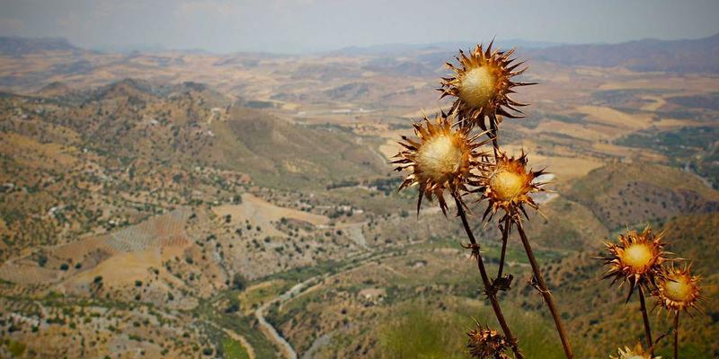 安全防护91:从安全鞋到防护服,阿尔斯盾如何构建全方位工业安全防线