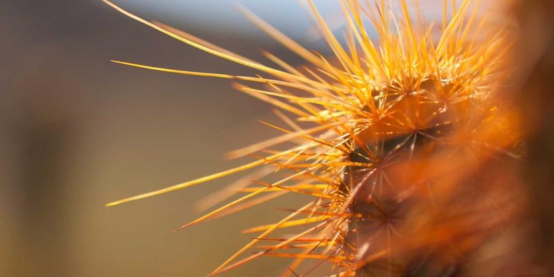 筑牢安全防线：从呼吸器、防护服到数据防泄露（DLP）的全方位策略