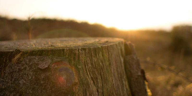 筑牢工业命脉防线：阿尔斯盾视角下的ICS安全防护关键技术、挑战与劳保用品安全鞋的深层关联