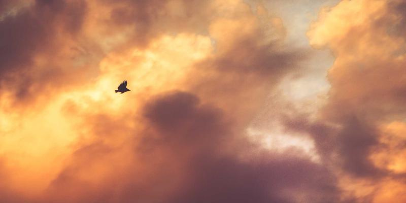 筑牢开源软件供应链安全防线：从依赖项扫描到许可证合规管理的工业级防护