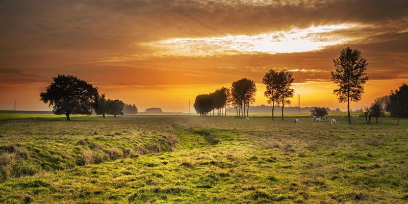 筑牢金融数据安全防线：从加密传输到安全存储的全链路防护实践