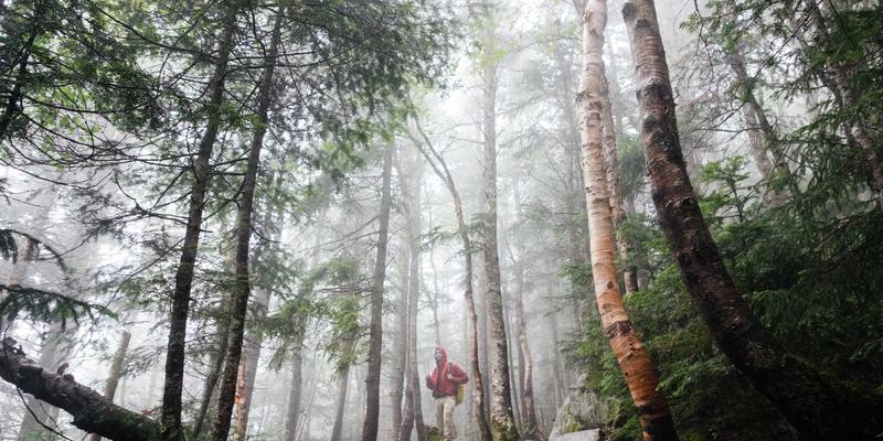阿尔斯盾安全防护：基于行为的EDR技术如何成为企业网络的智能呼吸器