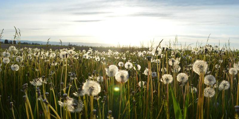 阿尔斯盾安全鞋：从基础防护到智能进阶的劳保革命