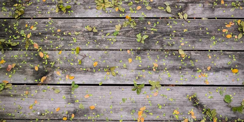 阿尔斯盾安全鞋：工业安全防护的坚实防线